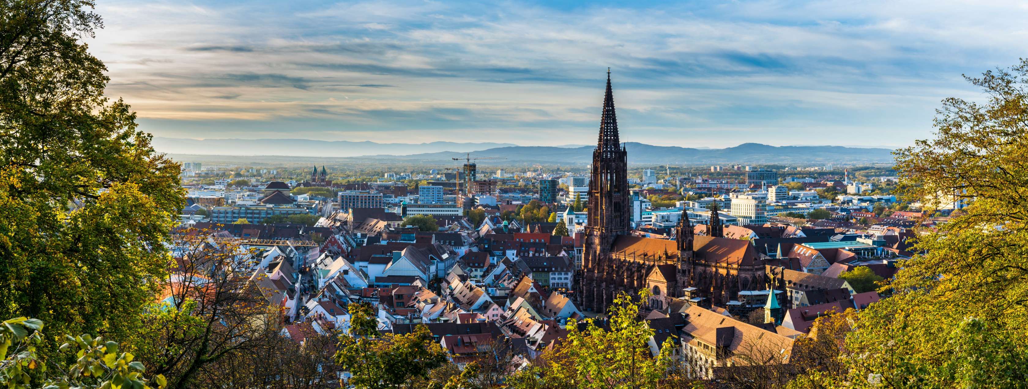 Ausblick auf das Freiburger Münster in Freiburg im Breisgau