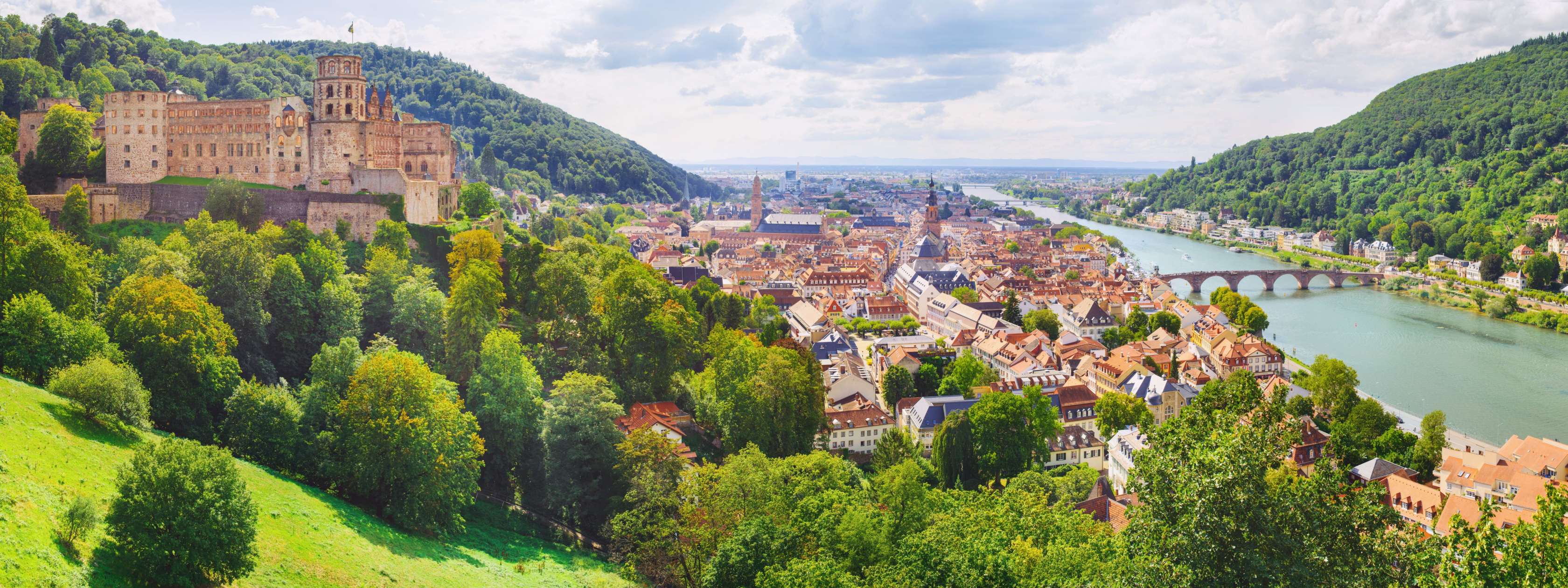 Blick auf Heidelberger Stadt und Schloss