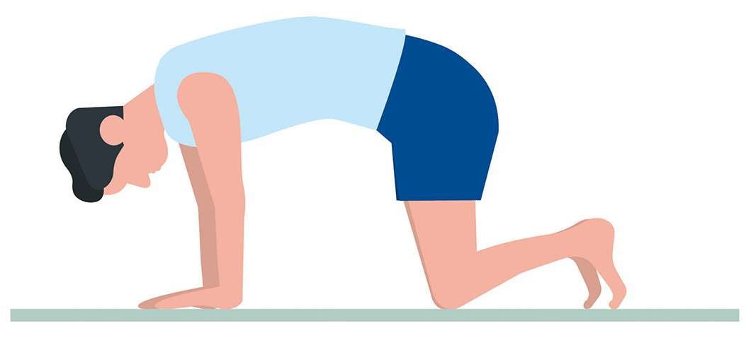 Übung: Katzenbuckel. Illustration: Kwadrat Passau