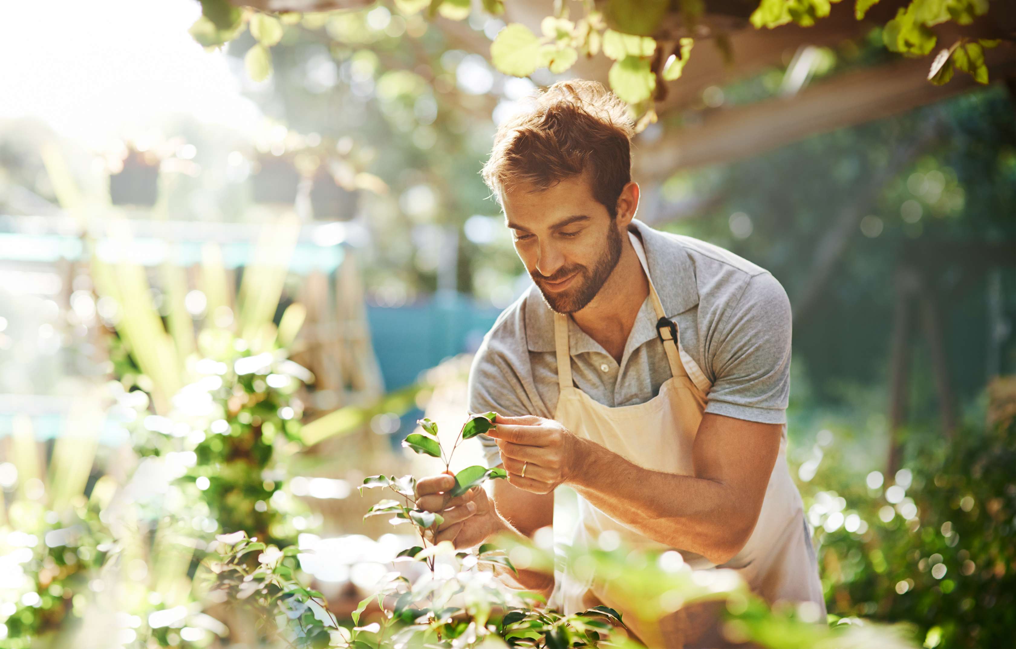 Allianz - Direktversicherung: Mann im Garten
