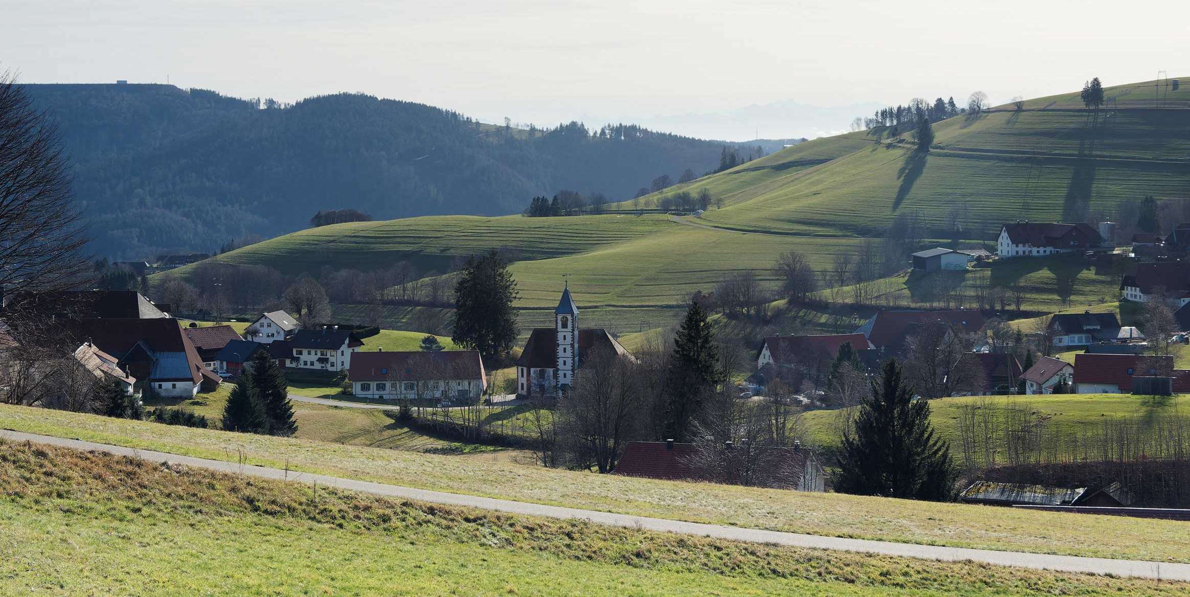 Versicherung in Schopfheim: Finden Sie die passenden Ansprechpartner:innen rund um Versicherungen in Schopfheim.