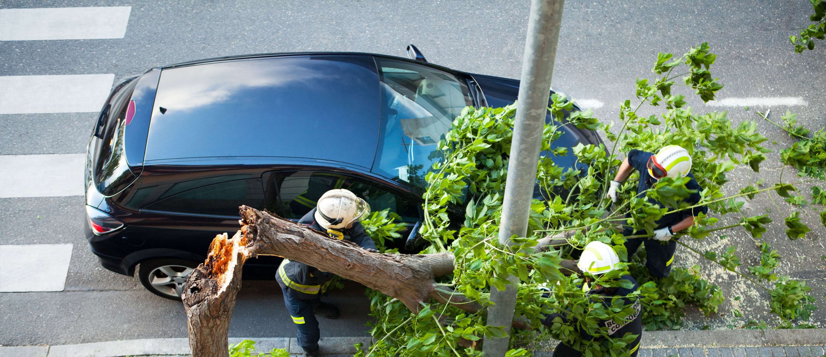 Sturmschaden Auto: Umgestürzter Baum liegt auf parkendem Pkw