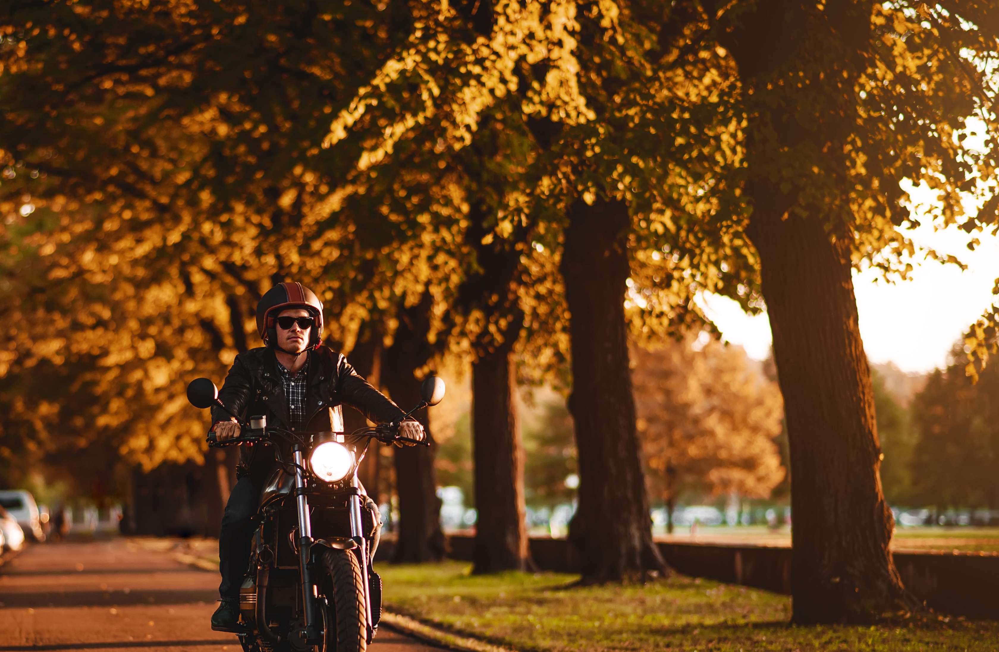 Mann fährt auf seinem Motorrad eine von Bäumen gesäumte Allee entlang