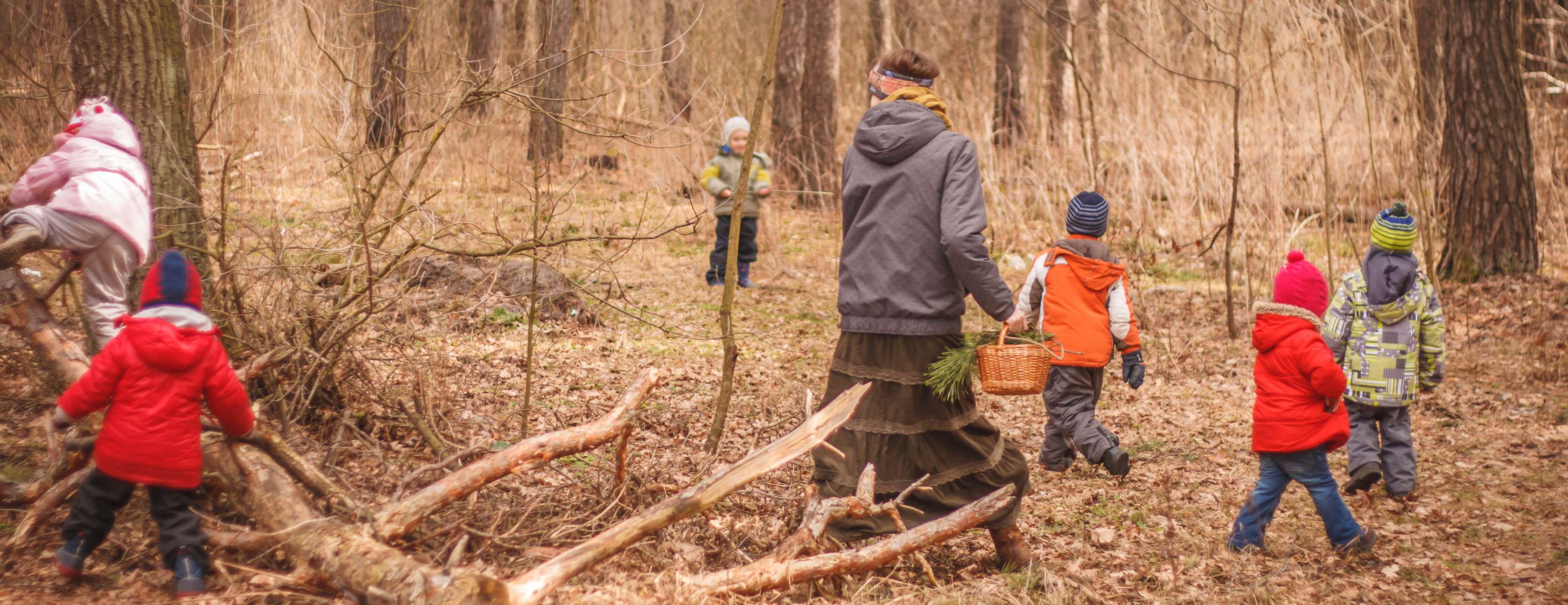 Eine Kindergärtnerin spaziert mit Kindern durch einen Wald und sammelt Naturmaterialien.