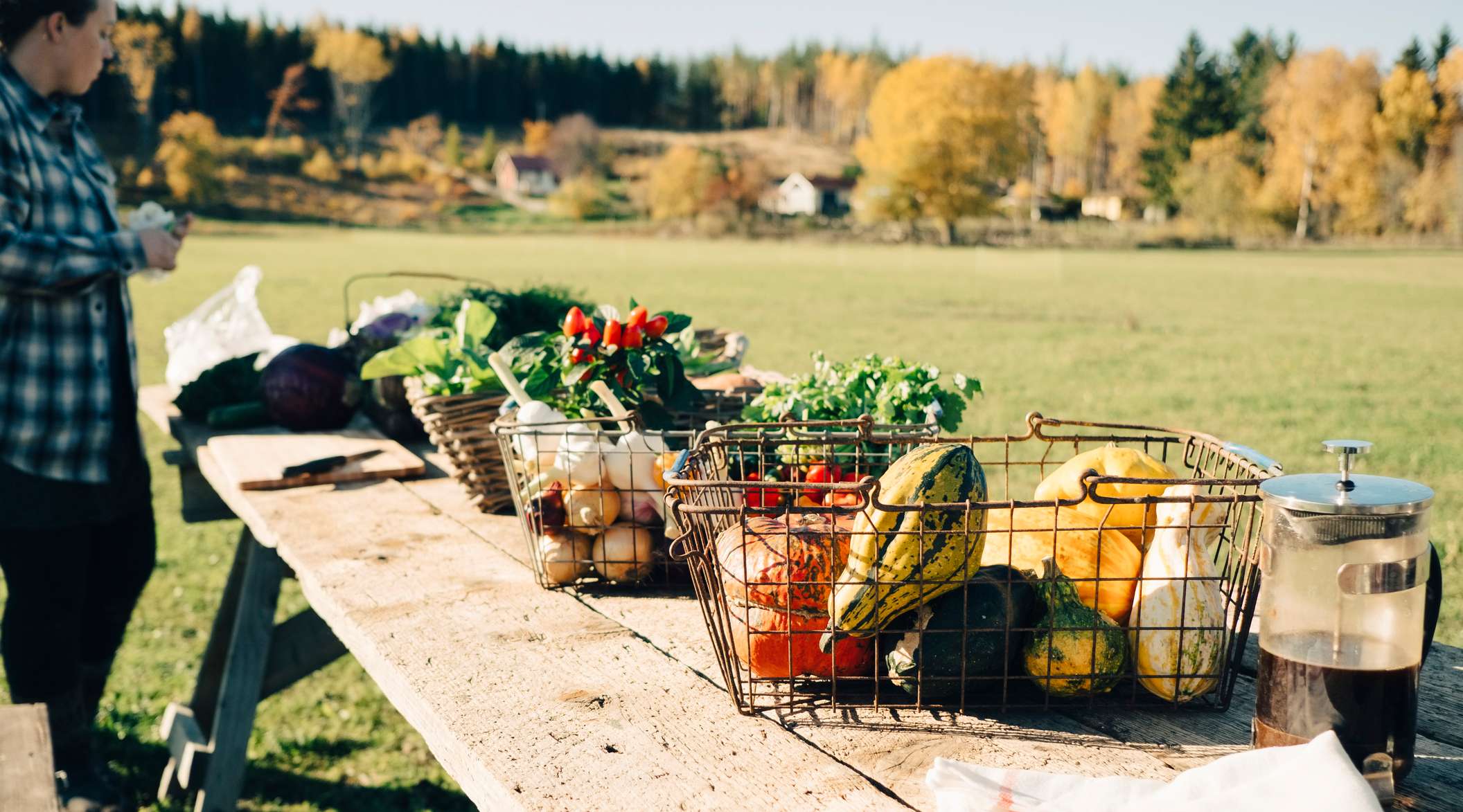 Allianz - Landwirtschaftliche Betriebshaftversicherung: Hofverkauf mit Gemüsestand auf einem Feld