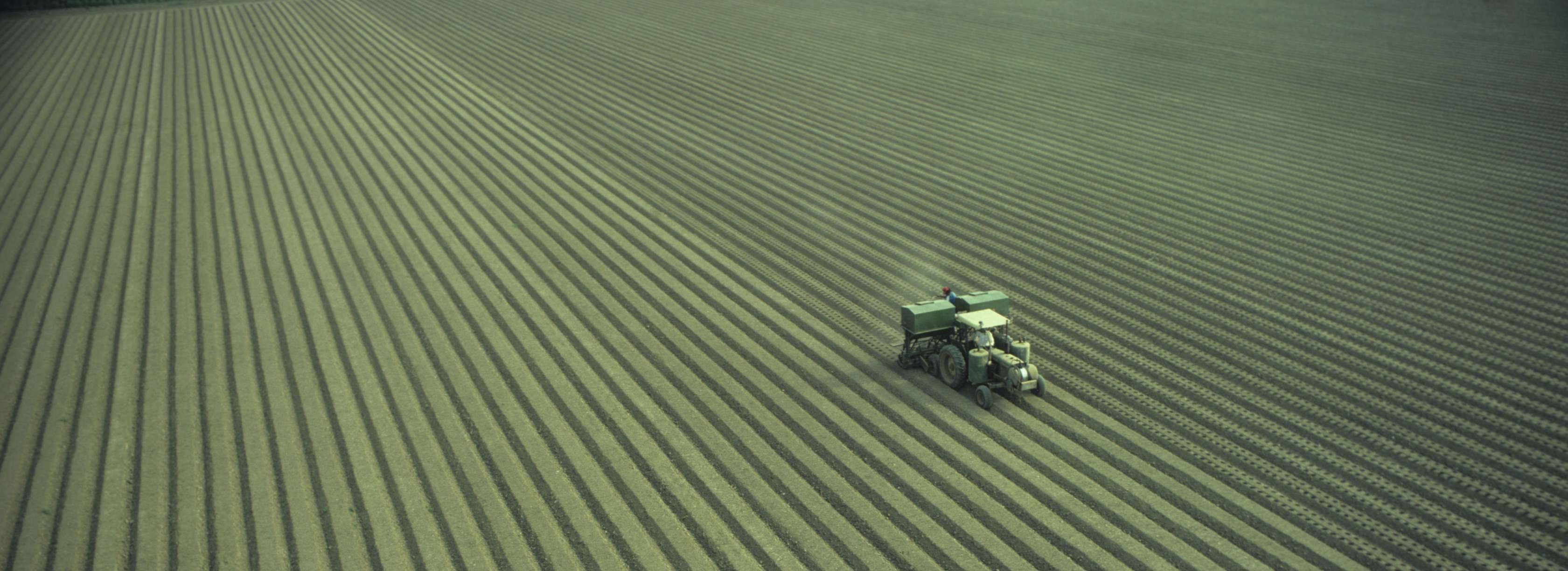 Ein Traktor mäht den Rasen auf dem Feld.