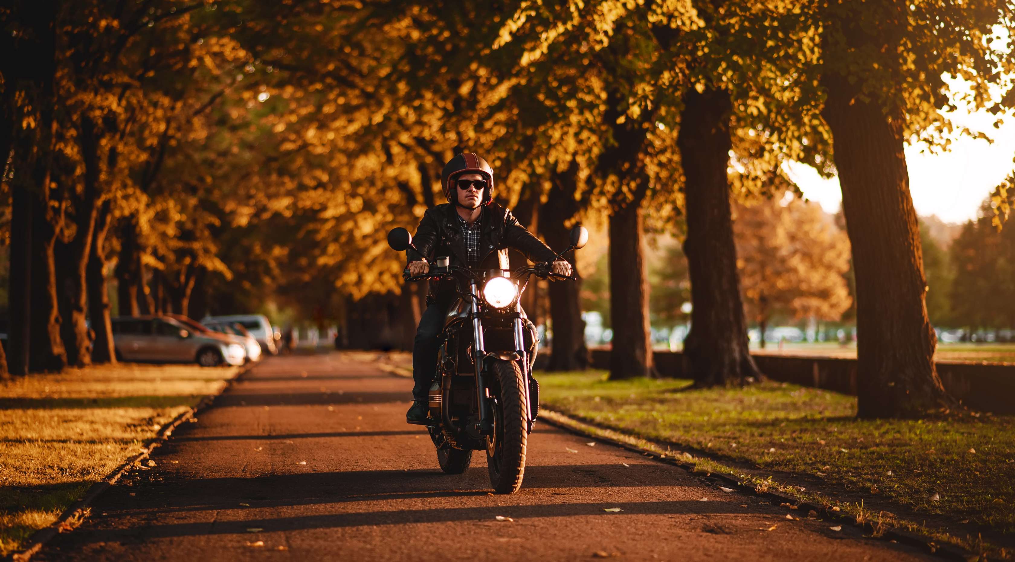 Allianz - Schadenfreiheitsklasse: Motorradfahrer fährt durch Baumallee