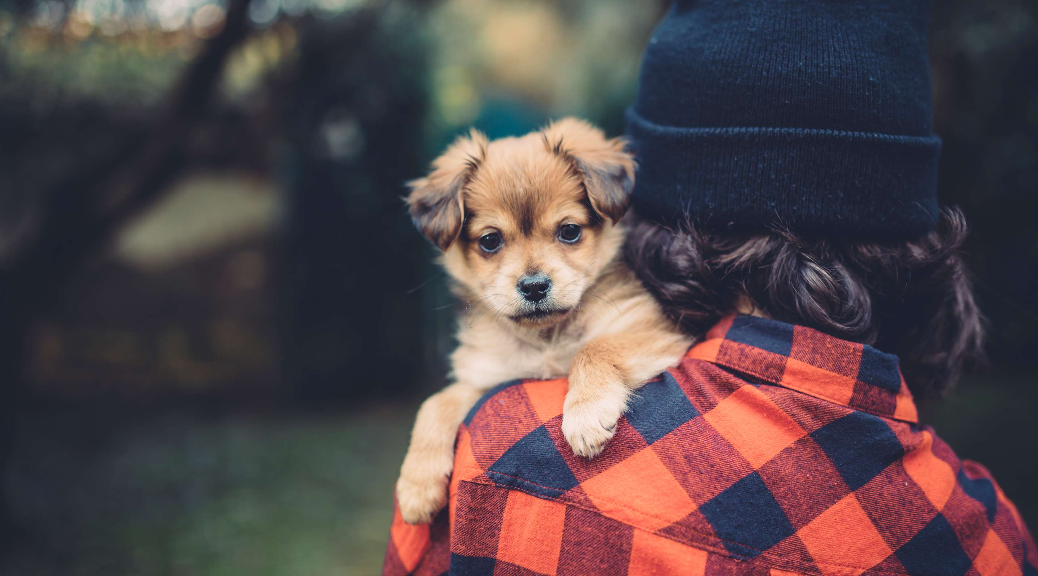 Allianz - Kranker Hund wird auf der Schulter getragen