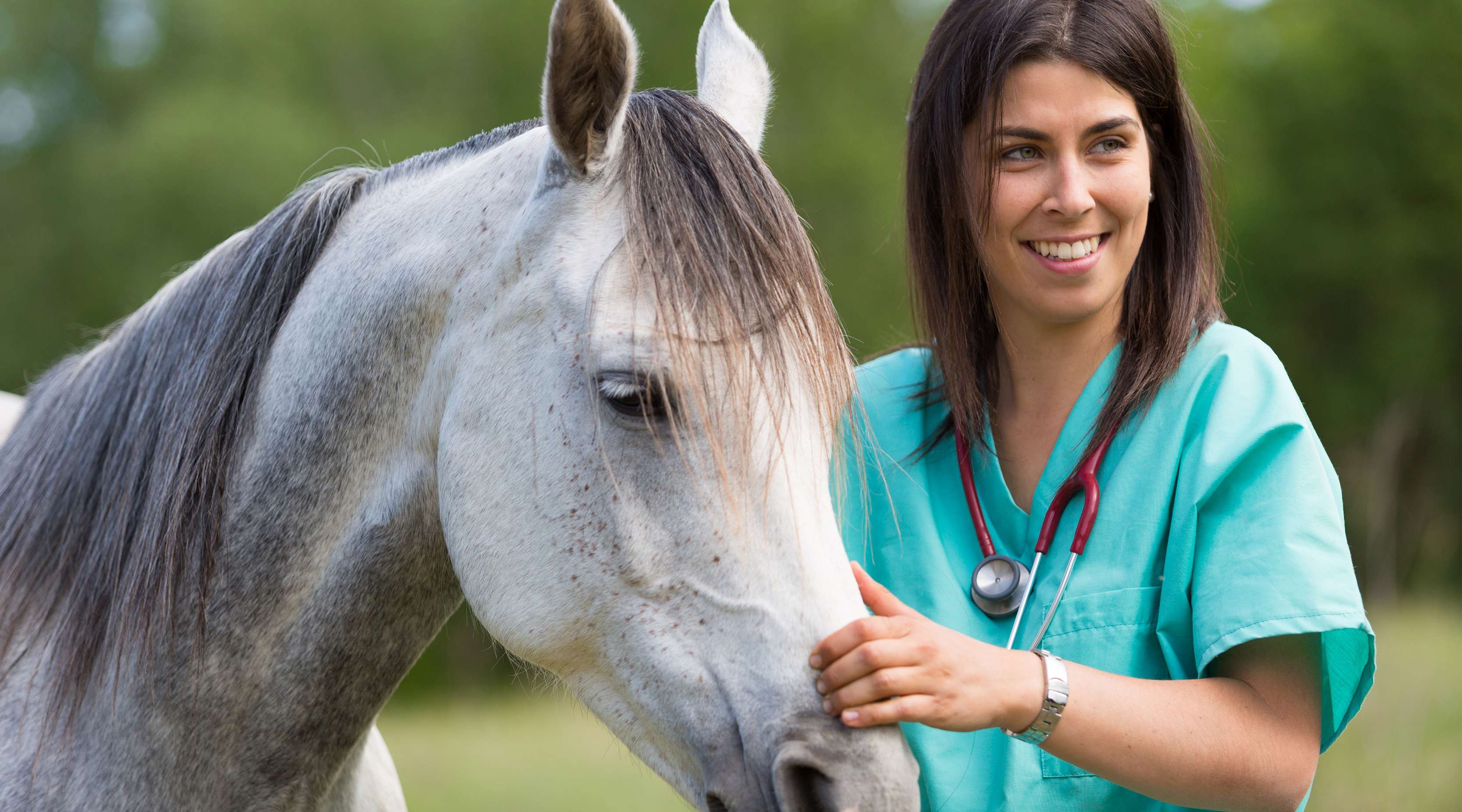 Allianz - Pferdekrankheiten vorbeugen: Tierärztin im grünen streichelt Pferd am Kopf