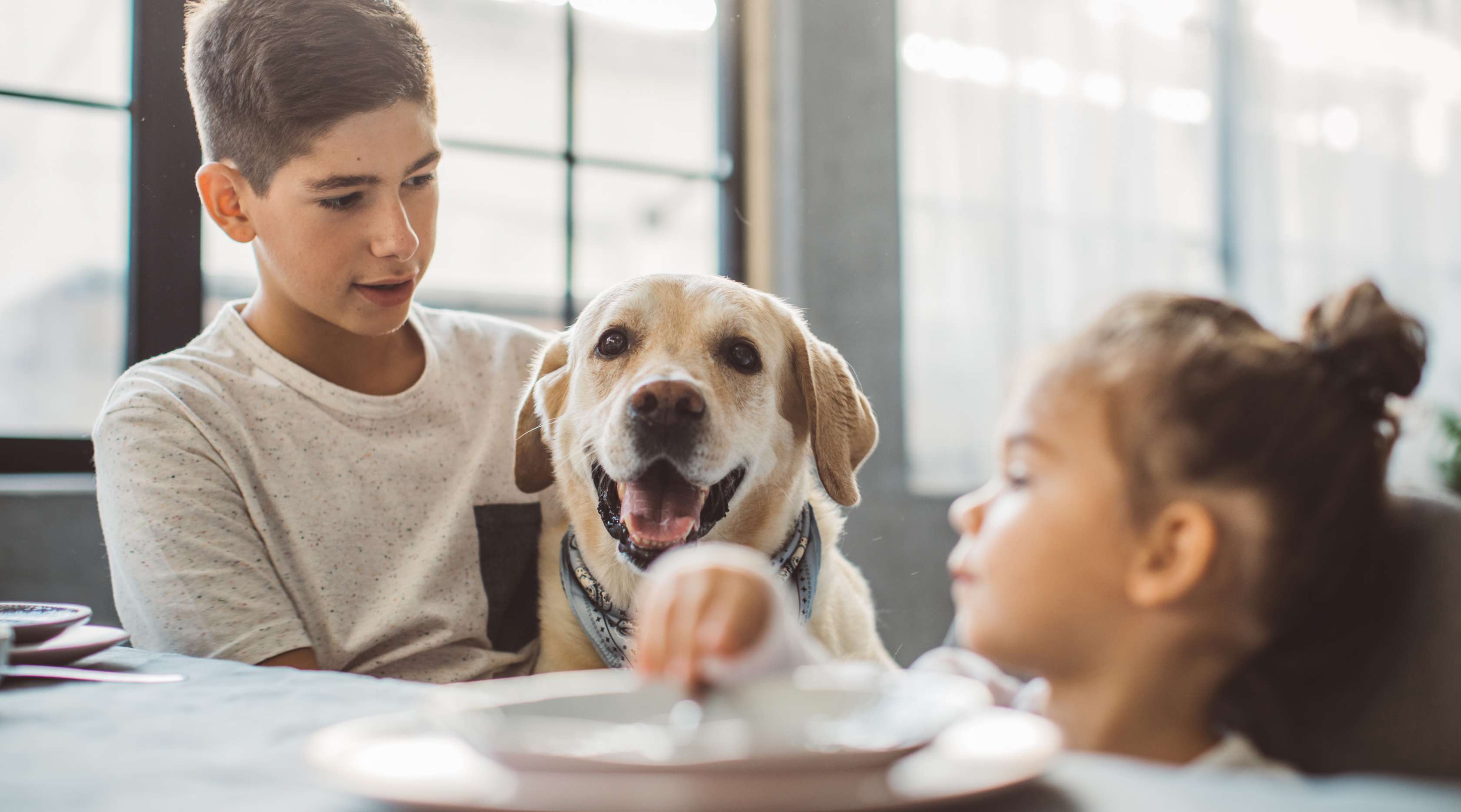 Allianz - Familienhunde: Zwei Kinder sitzen mit Hund am Tisch