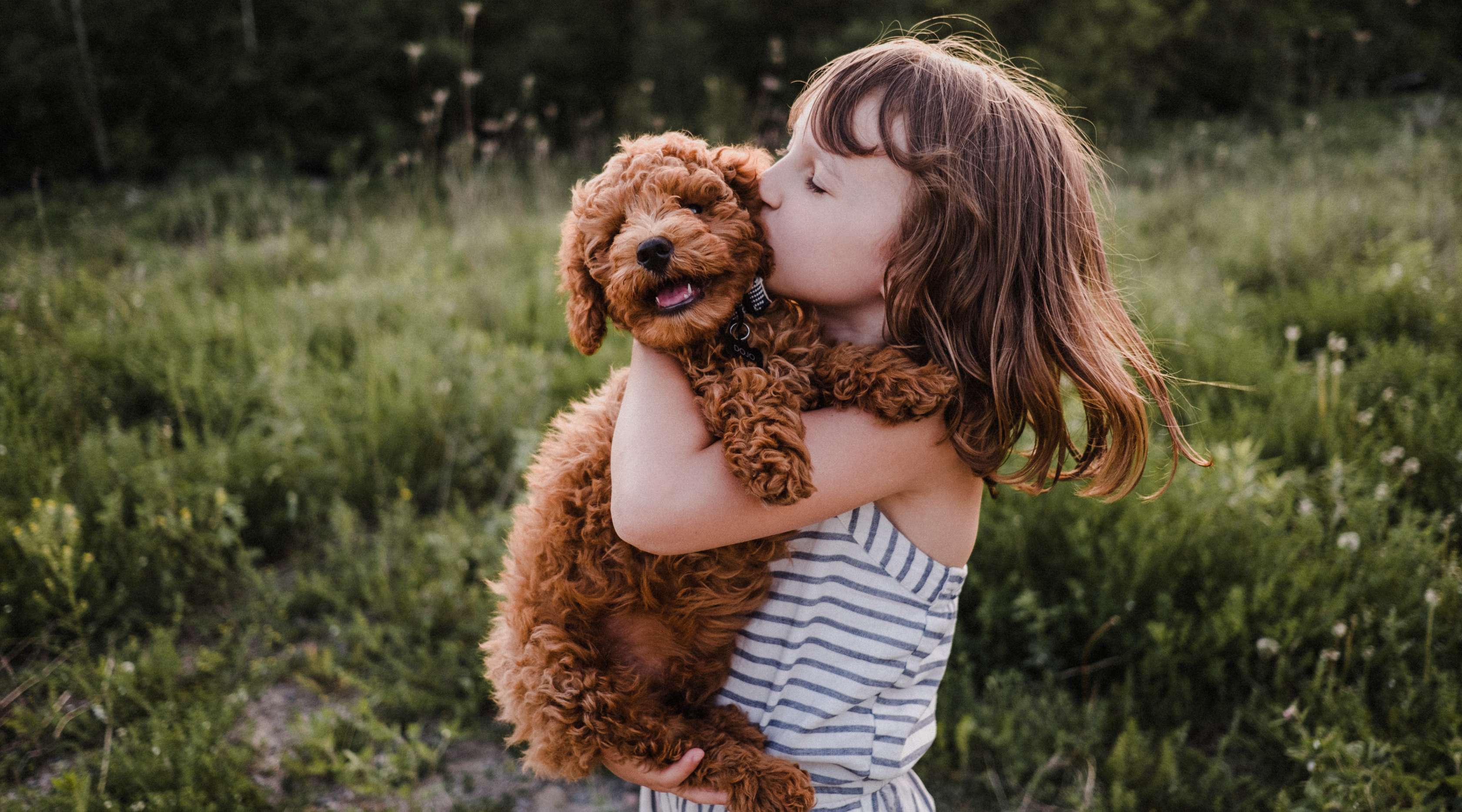 Hunde, die nicht haaren: Ein Mädchen küsst ihren Hund