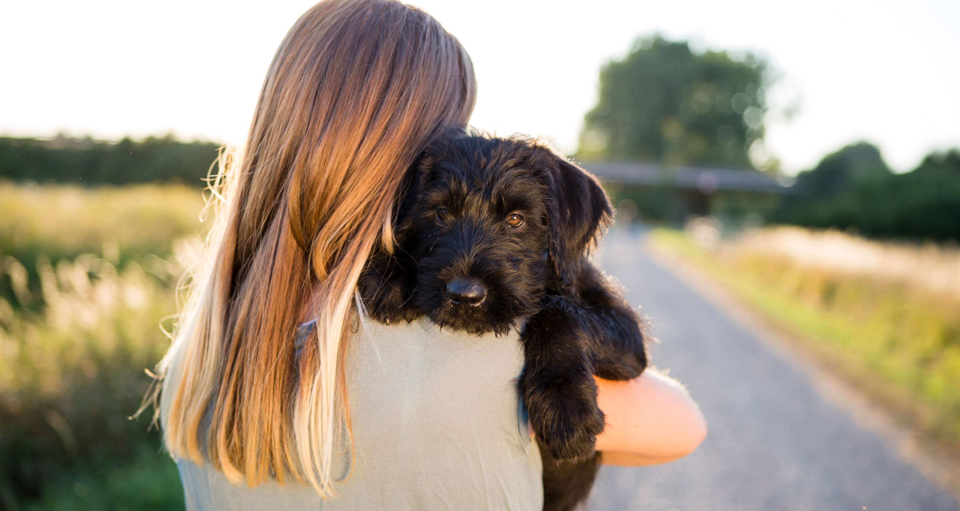 Allianz - Hundekrankenversicherung - Giftköder: Schwarzer Hund liegt über der Schulter einer Frau im Hintergrund ein Landweg