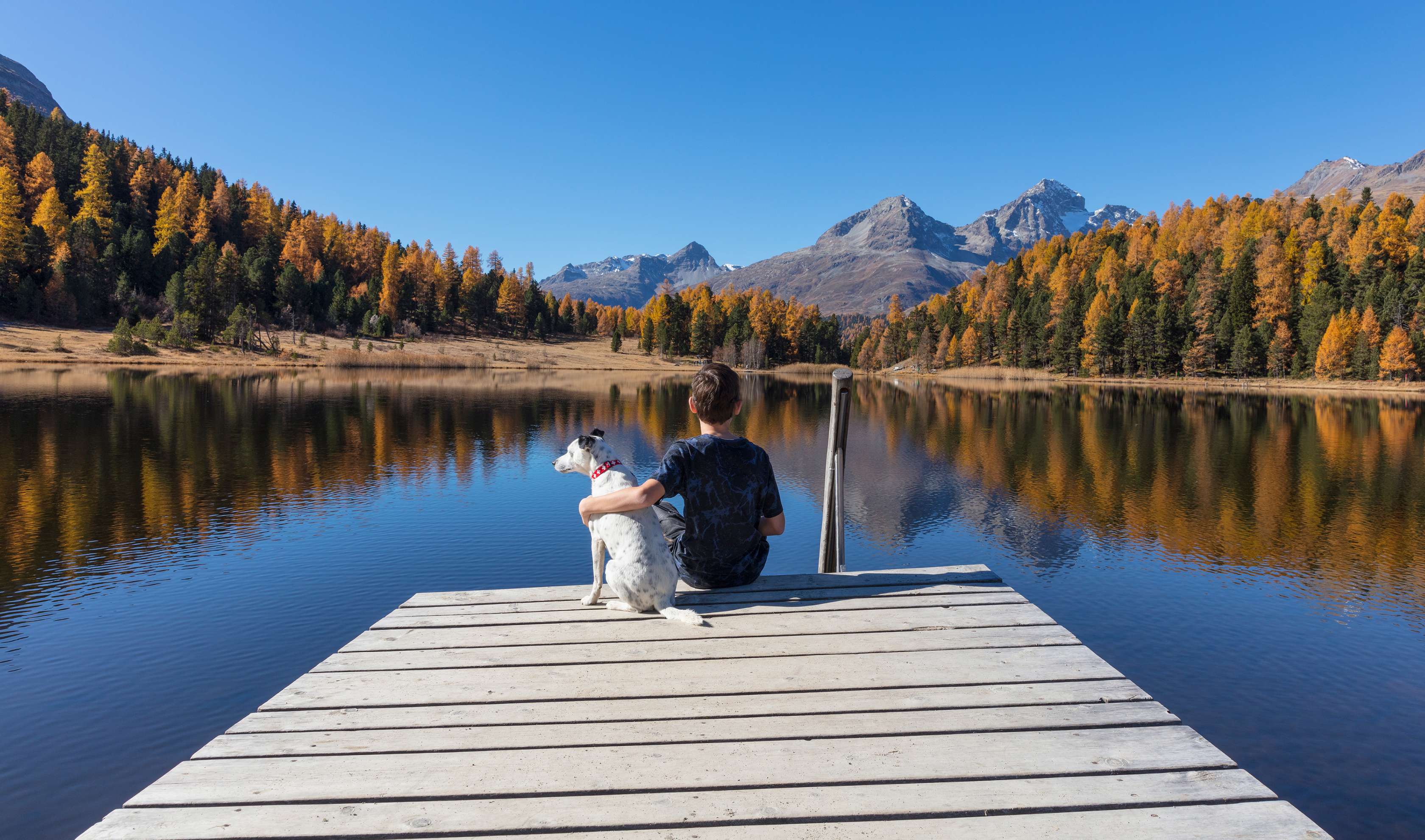 Homöopathie für Hunde - Junge sitzt mit seinem Hund auf dem Steg und schaut zum Bergsee