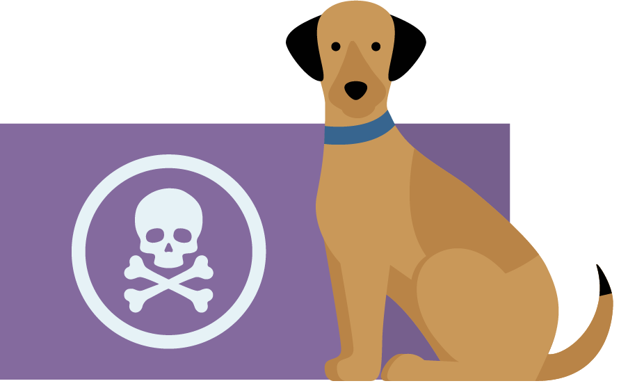 Allianz - Hundeernährung: Illustration Hund vor einer Box mit einem Totenkopf