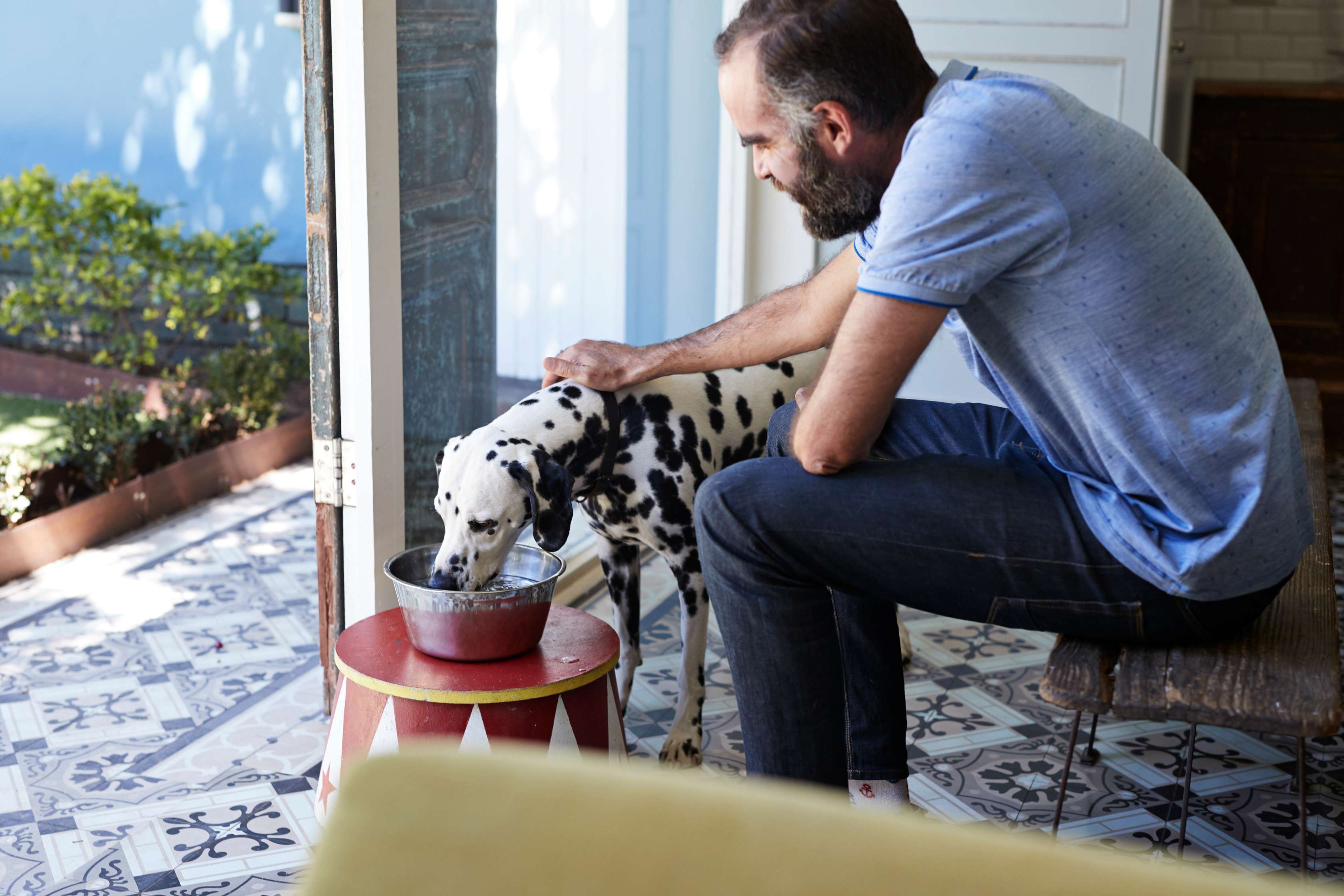  Allianz - Barfen: Mann füttert seinen Dalmatiner