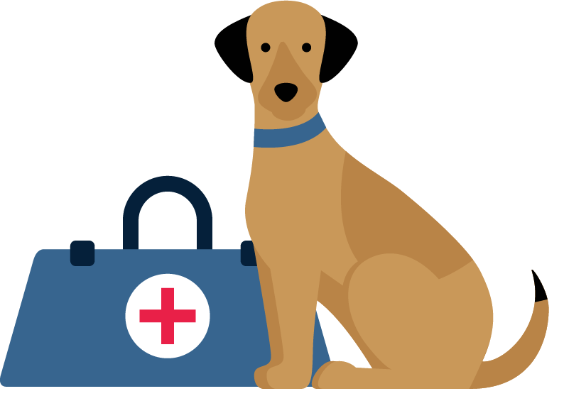 Illustration - Ein Hund sitzt nebem einem Arztkoffer.