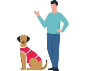 Illustration - Ein Hund trägt einen spezielle Bauchanzug. Sein Besitzer steht neben ihm.