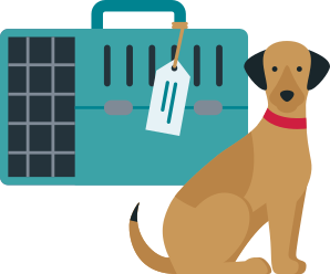 Allianz - Hund im Urlaub - Illsutration: Hund sitzt vor Transportbox mit Adresssschild