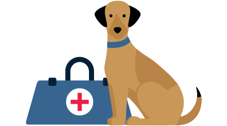 Illustration - Ein Hund sitzt nebem einem Arztkoffer.