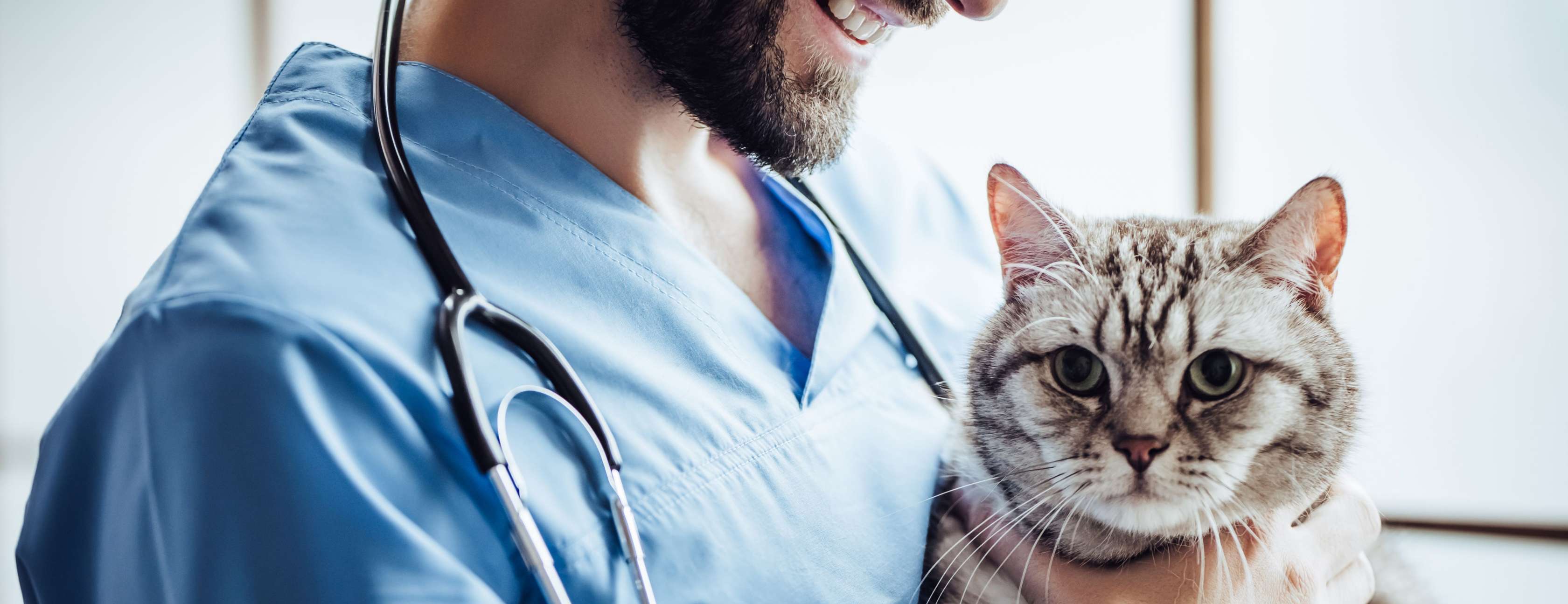 Allianz - Arzt hält Katze im Arm