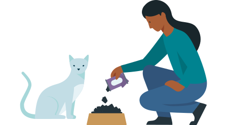 Allianz - Abwehr stärken: Illustration Frau füttert Katze