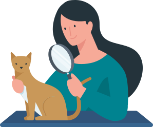Allianz - Flohbefall vermeiden: Illustration Frau untersucht Katze mit Lupe
