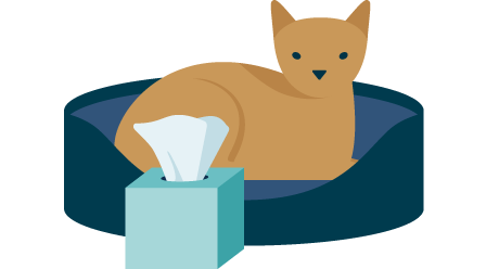 Allianz - Icon Kranke Katze im Korb, davor Taschentücher