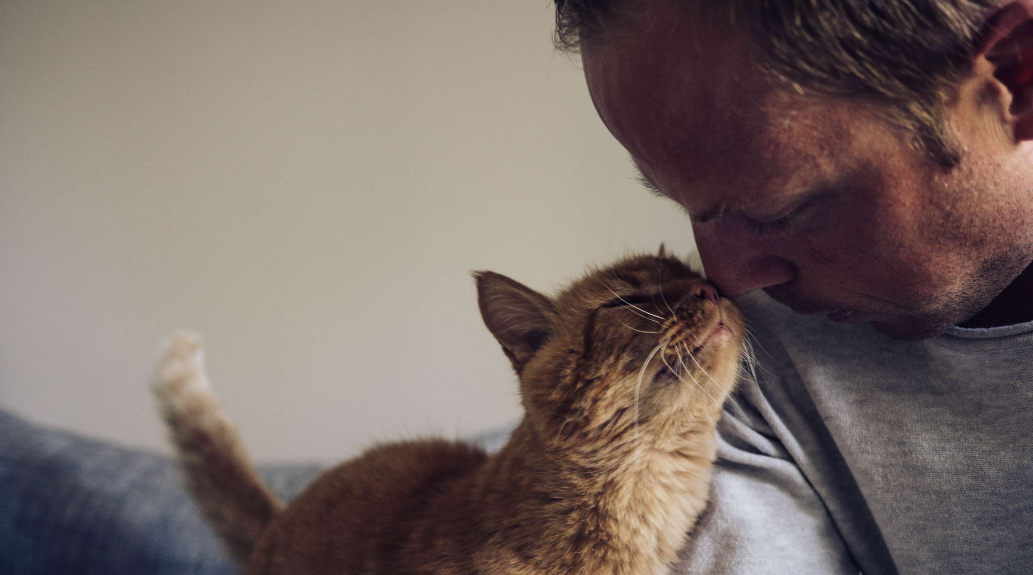 Allianz - Katzensprache: Mann gibt Katze einen Nasenstubser