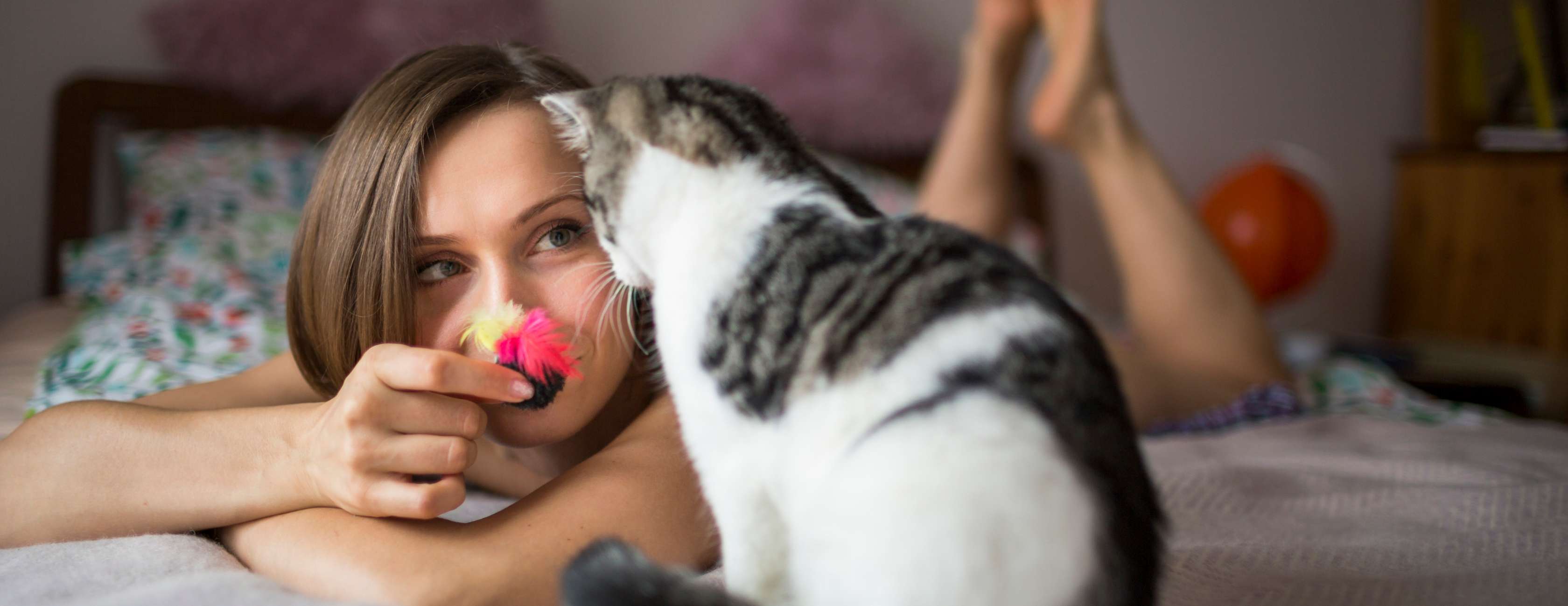 Junge Frau liegt auf Bett und spielt mit Katze