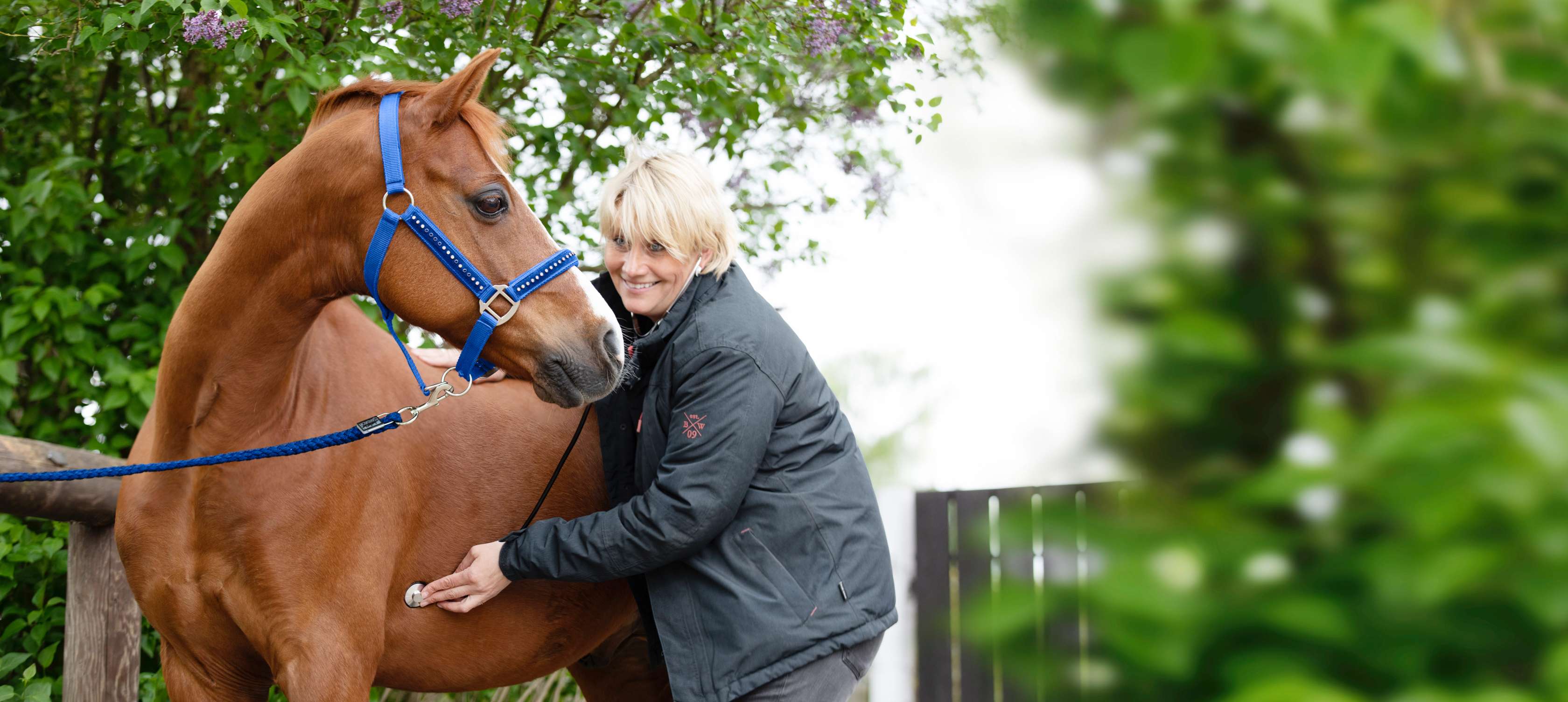Pferdekrankenversicherung: Eine Tierärztin hört das Herz eines Pferdes ab