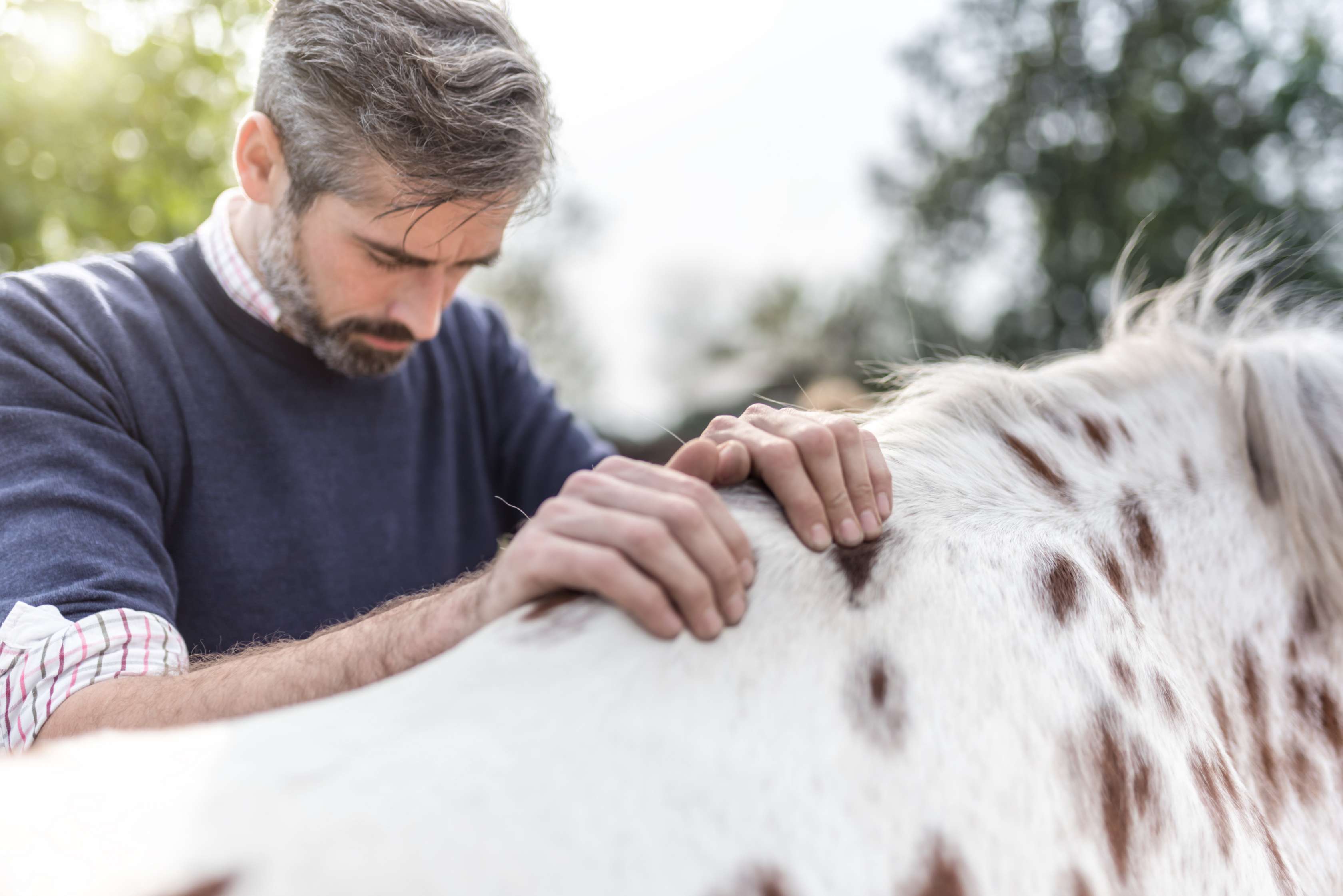 Allianz - Pferdekrankheiten: Mann legt seine Hände auf den Hals eines Pferdes