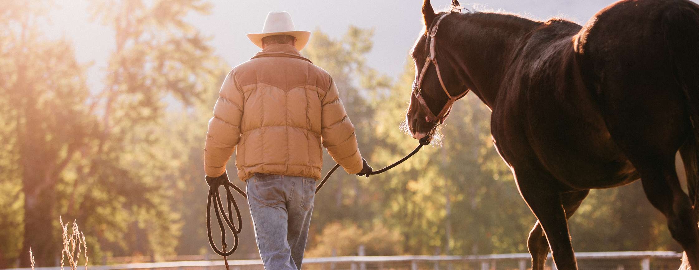 Mann mit Cowboyhut führt Pferd am Strick auf die Koppel