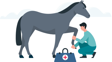 Illustration: Tierarzt verarztet das Pferd am Bein