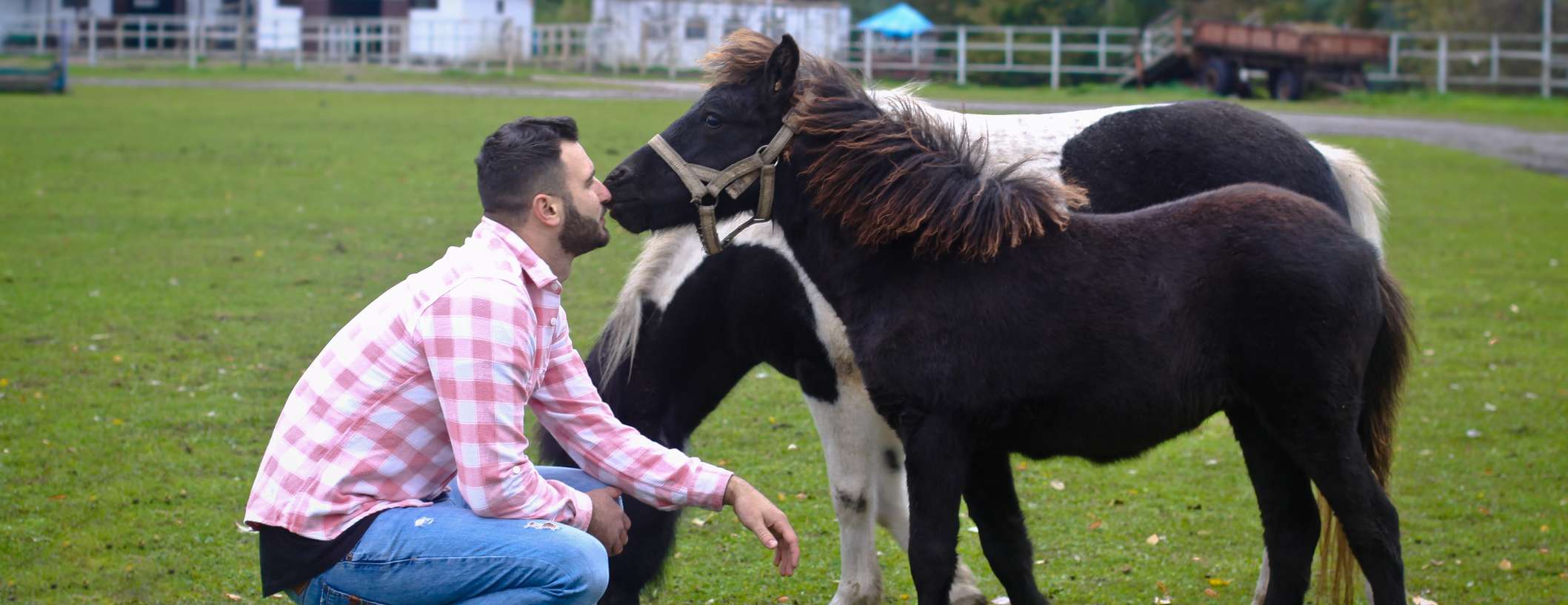 Allianz - Pferdeversicherung - Impfung: Mann hockt vor einem Fohlen, das sein Gesicht schnüffelt
