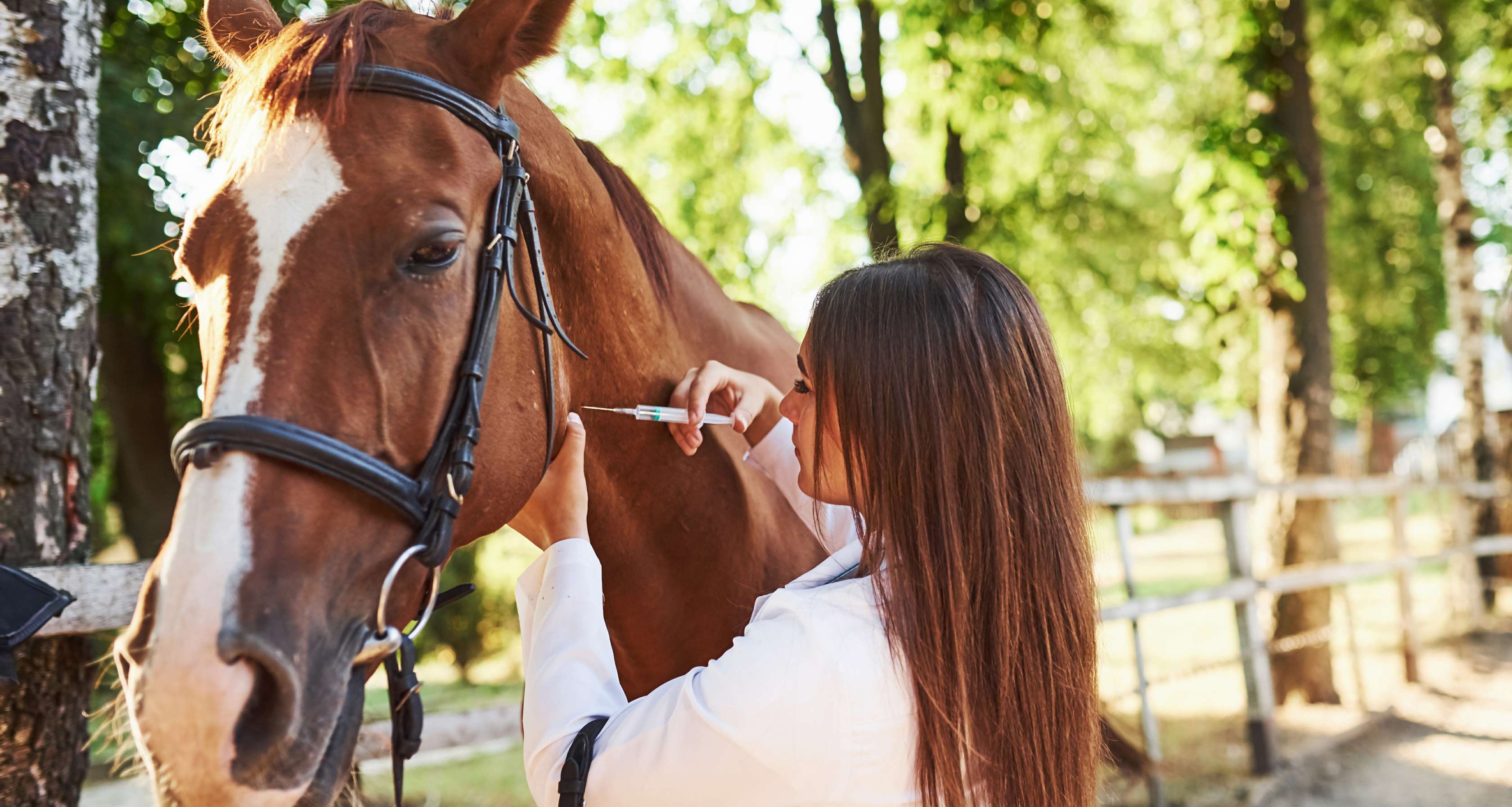 allianz.de - Tierärztin gibt Pferd eine Spritze in den Hals
