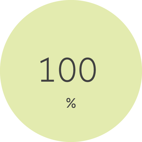 Icon 100 Prozent