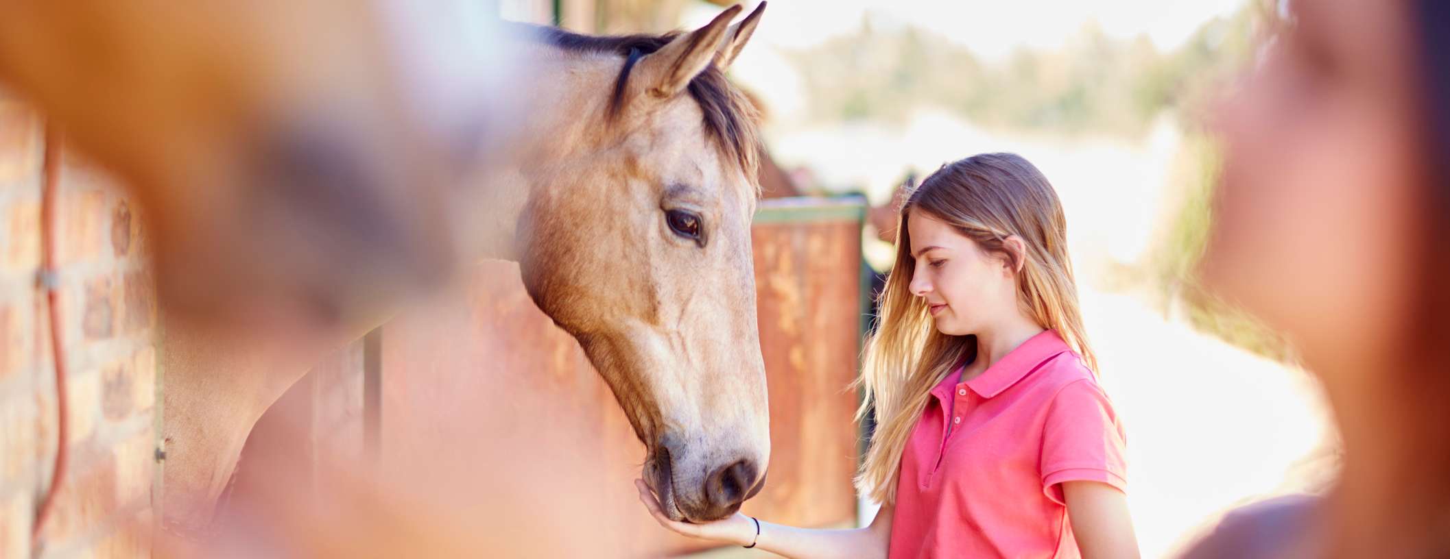 Allianz – Frauen füttern Pferde am Stall