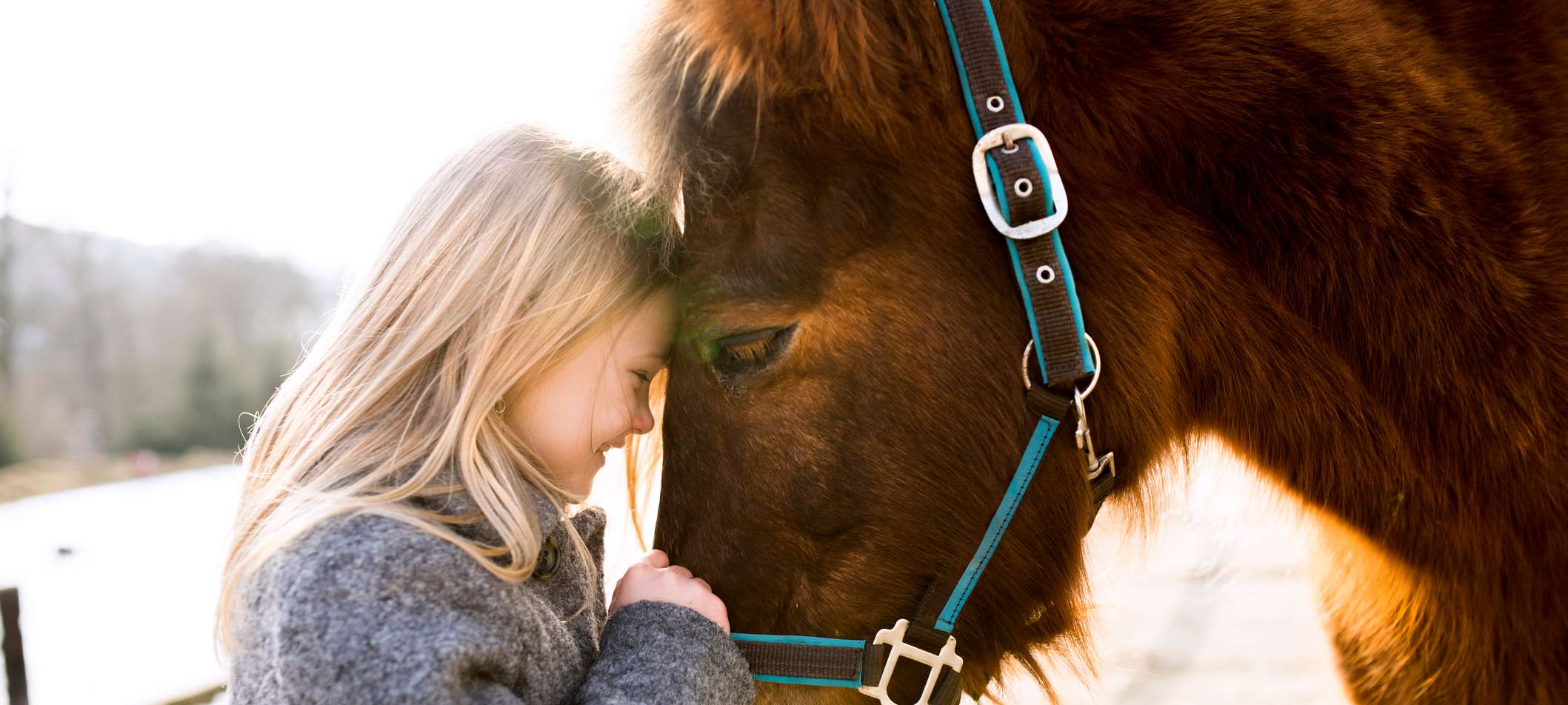 Allianz - Vitrektomie Pferd: 2 Jungen streicheln ein Pferd