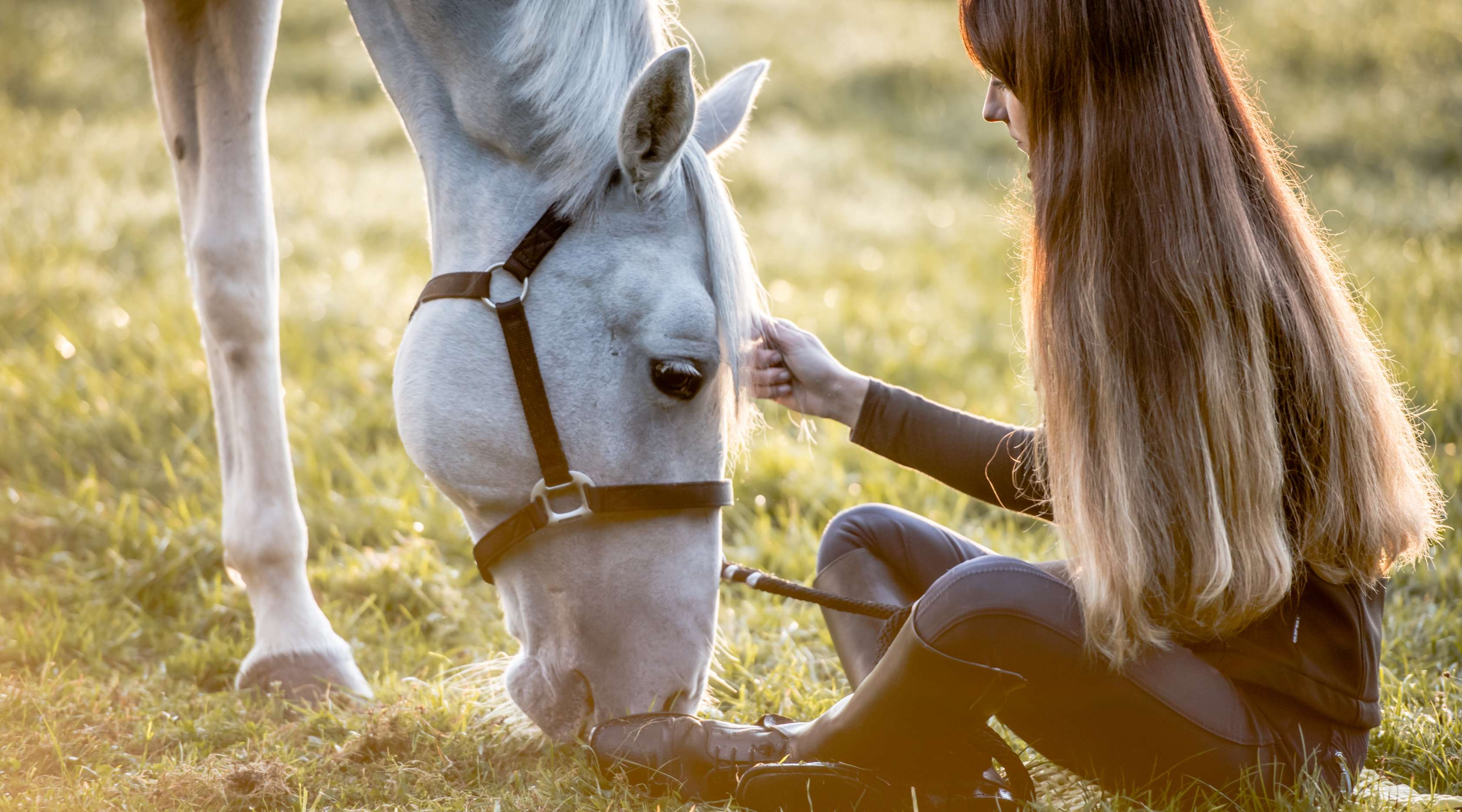  Allianz - Pferdepflege: Eine junge Frau streichelt ihr grasendes Pferd auf einer Weide.