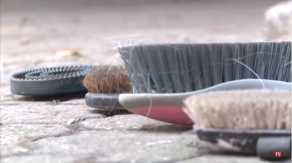 Allianz - Video zu Pflegetipps