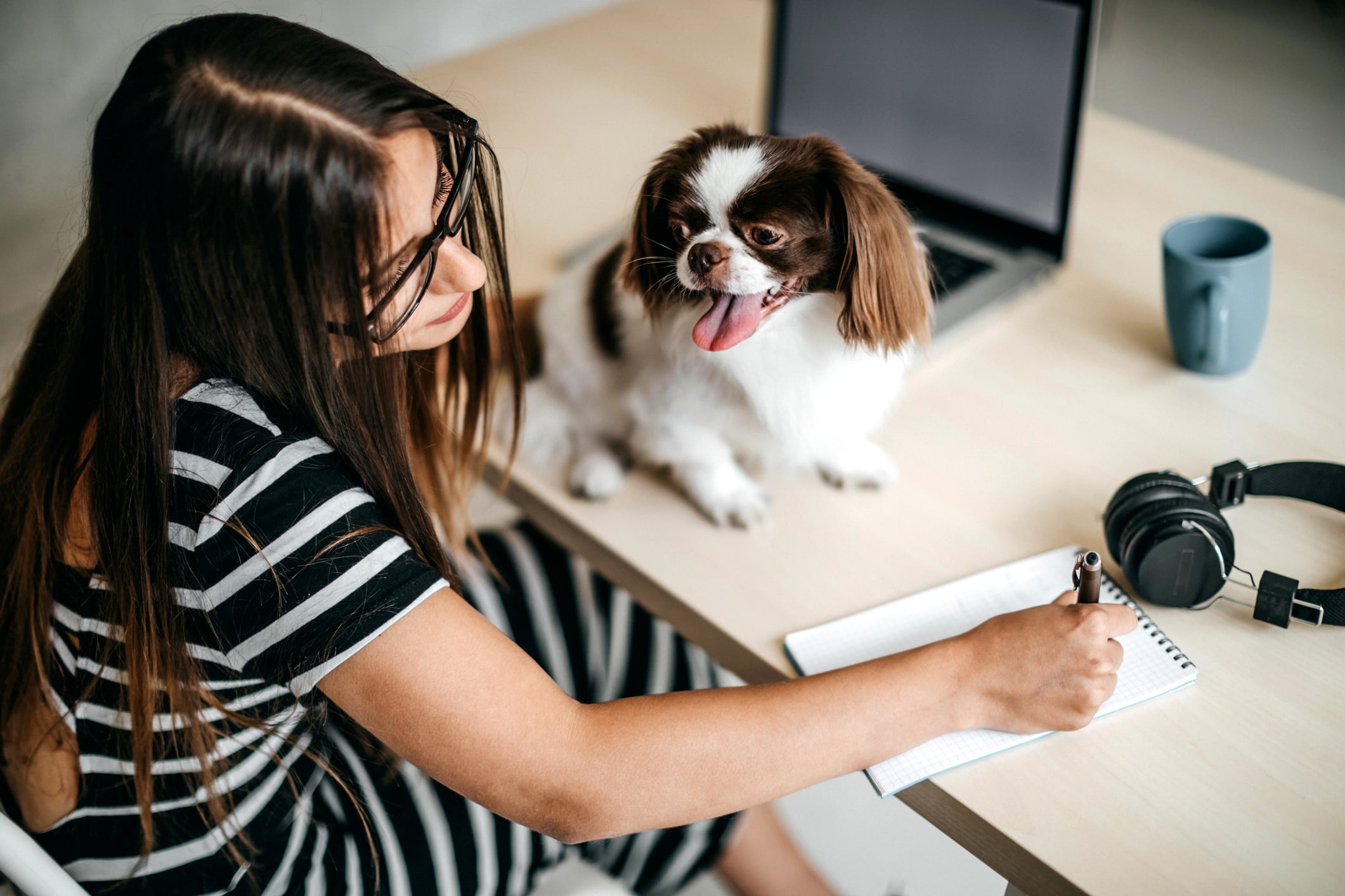 useful description of image if informative and not decoration only.