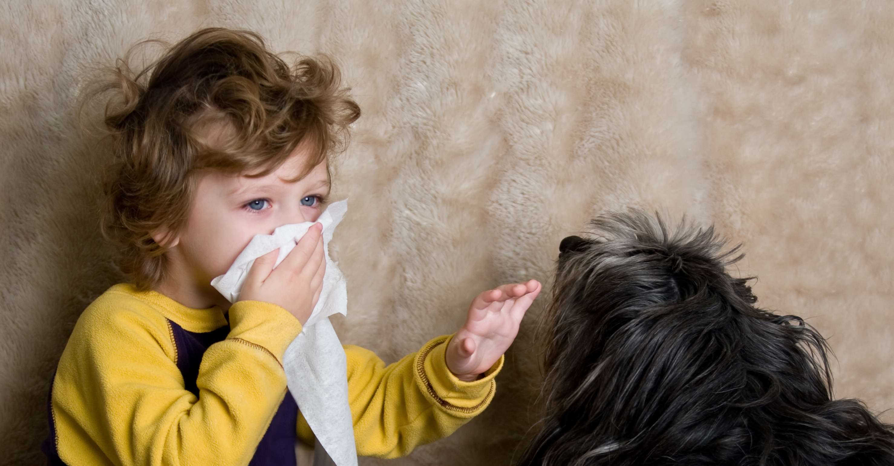 Hundeallergie: Ein Kind mit Taschentuch an der Nase streichelt einen Hund