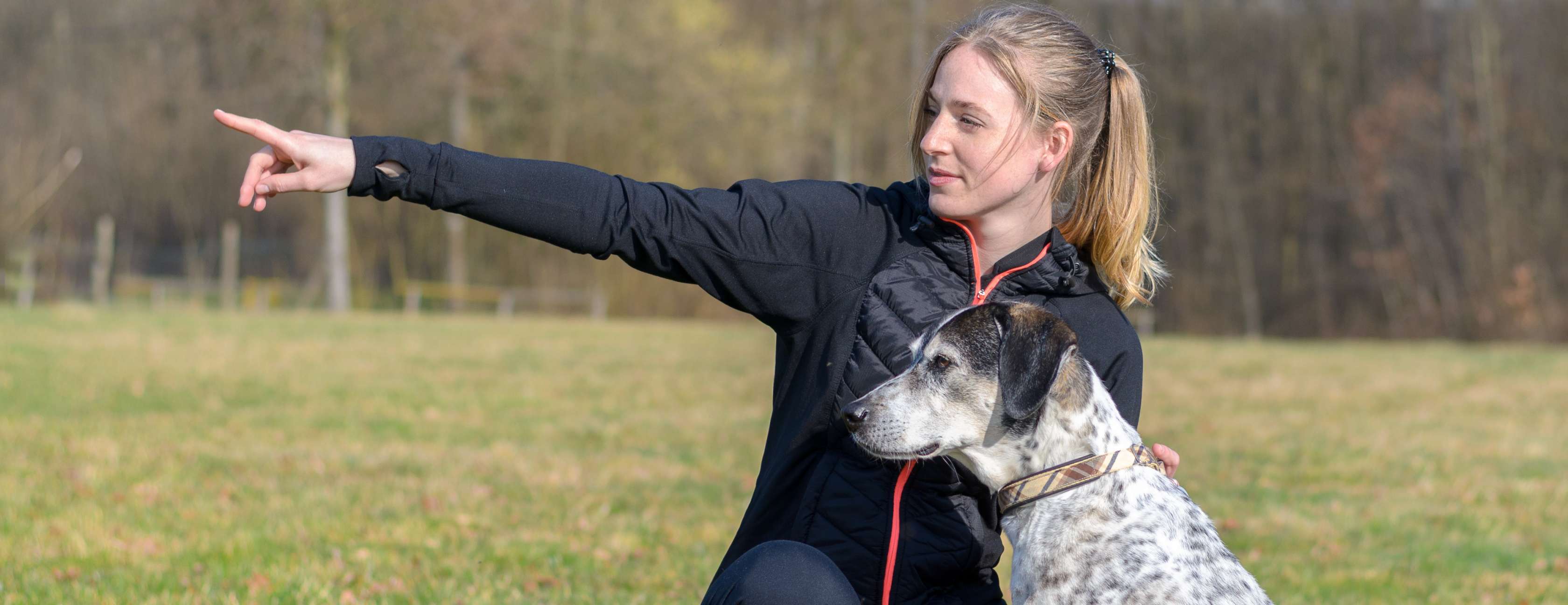 Wunderbar Hund Knickt Vorne Rechts Ein Bilder