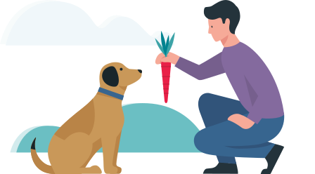 Allianz - Sachkundenachweis Testfrage Monatskosten Hundefutter: Illustration Mann hält Hund eine Möhre vor