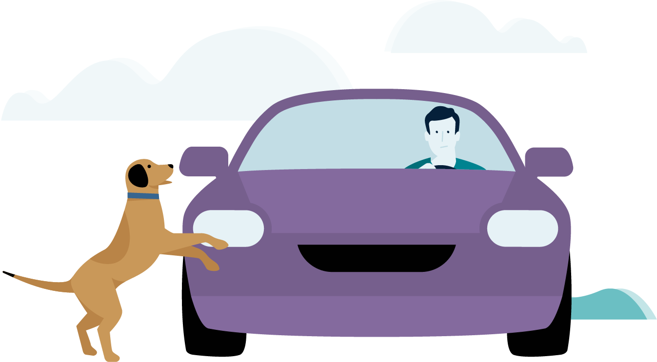 Allianz - Illustration: Hund laeuft vors Auto