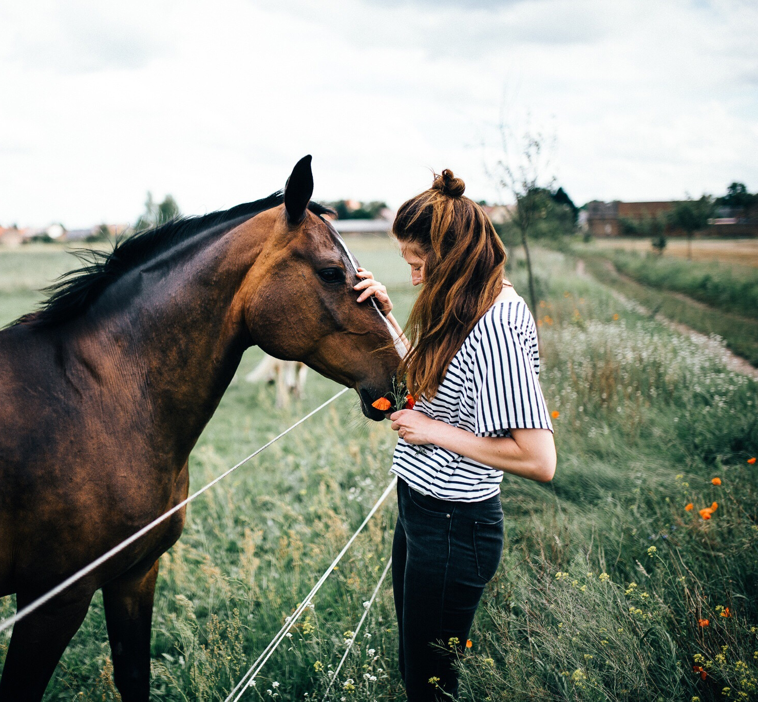 Allianz - Pferd Bodentraining: Frau mit Pferd auf Weide und Mohnblumen