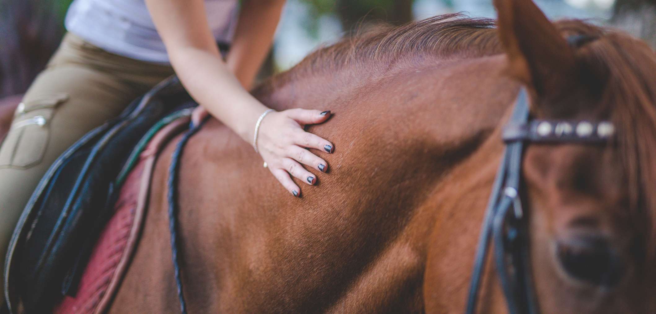 Allianz - Pferd Klickertraining: Reiterin lobt das Pferd