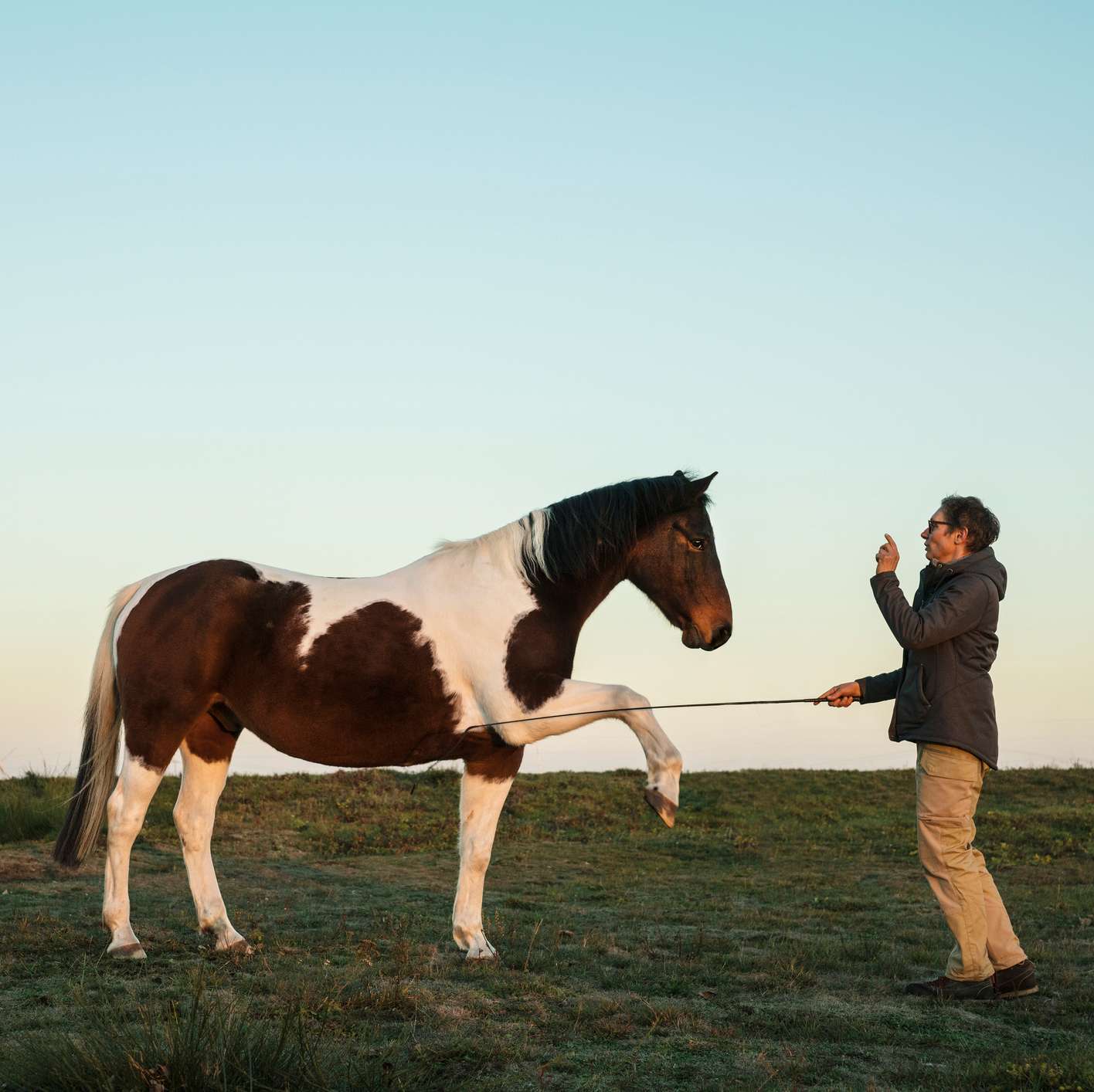 Allianz - Pferd Klickertraining: Pferd lernt das Bein auf Kommando zu heben
