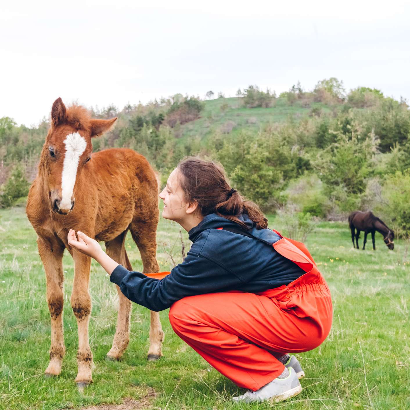 Allianz - Horsemanship: Frau fasst Vertrauen zum Fohlen