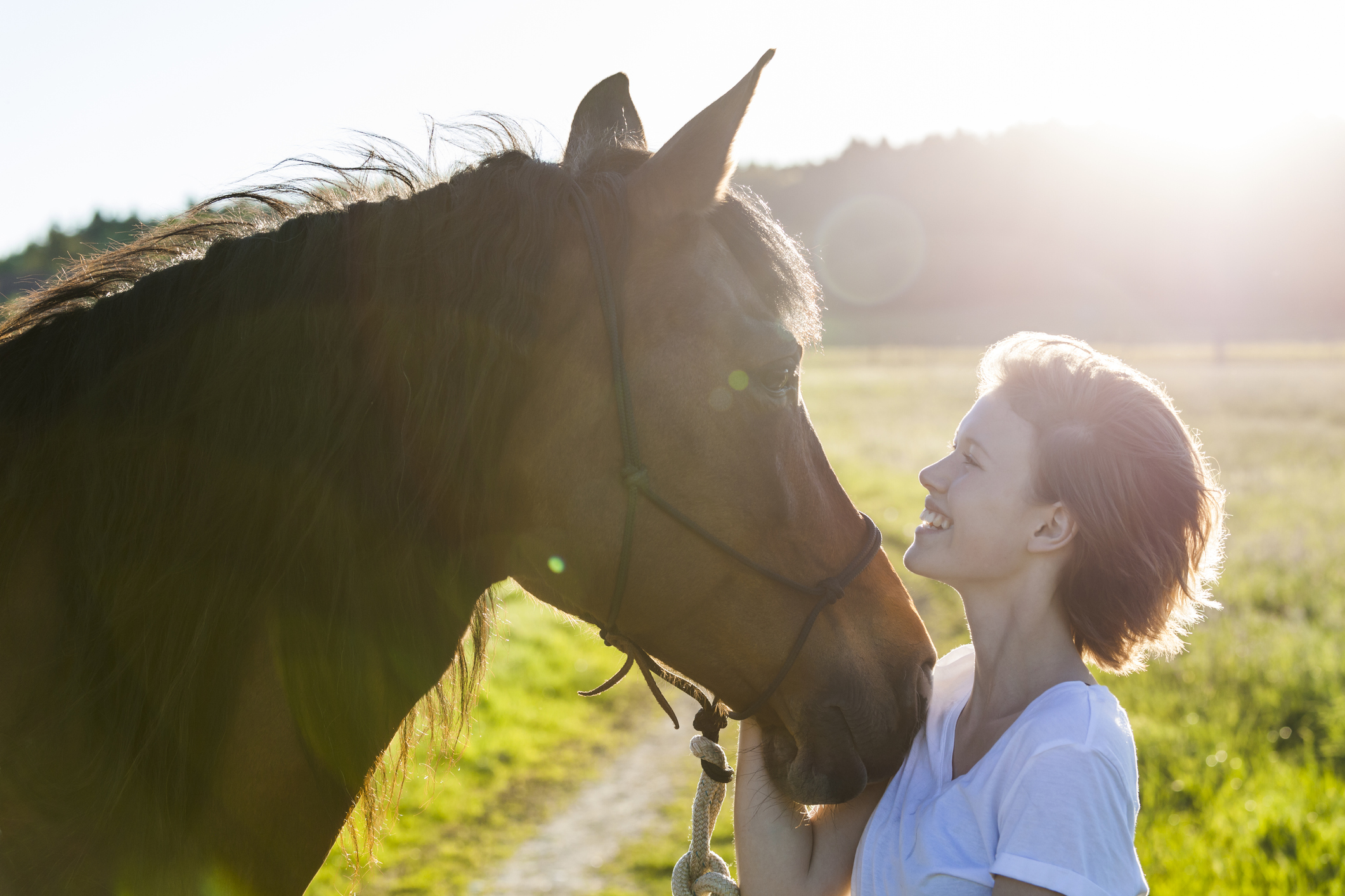 Allianz - Horsemanship: Frau lacht Pferd an, Pferd schmiegt sich an Frau auf Weide